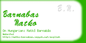 barnabas matko business card