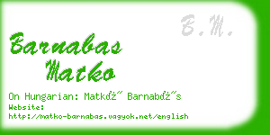 barnabas matko business card